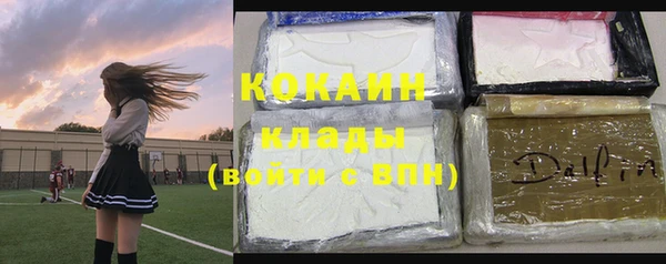 гашик Алзамай