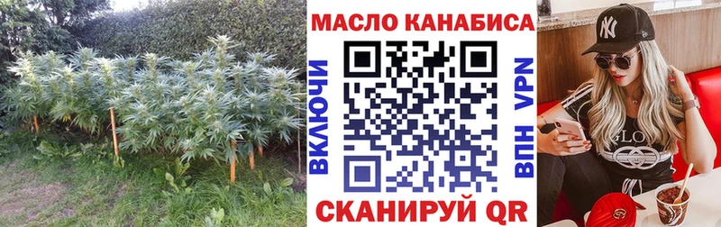 omg онион  Новомичуринск  ТГК вейп с тгк 